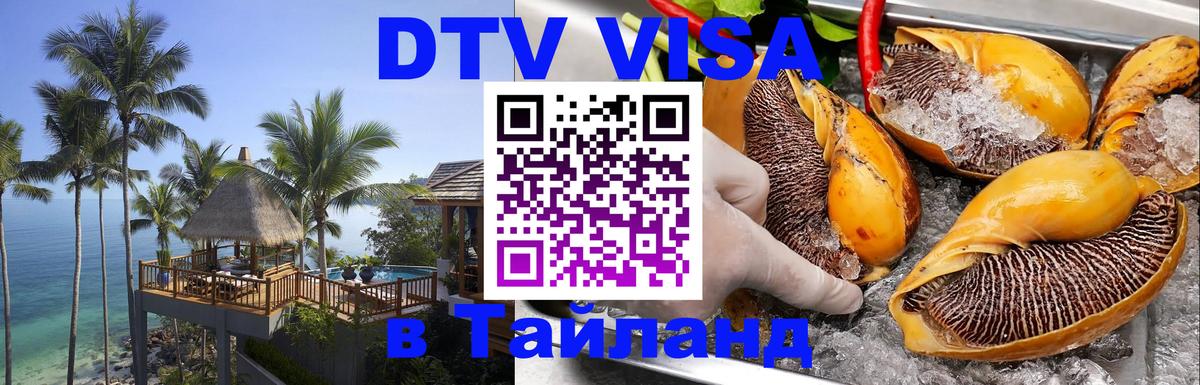 Оформление DTV визы под ключ: стоимость и тарифы, только загранпаспорт - 20.11.2025 